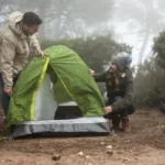 Beneath the Canopy Discovering Nature’s Hidden Secrets