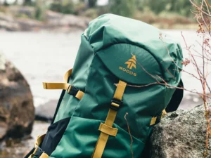 Desert Odyssey Exploring the Secrets of the Arid Sands