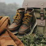 In the Heart of the Wilderness The Power of Nature’s Silence