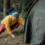 Silent Wonders The Magic of Nature’s Unseen Corners