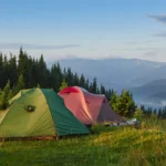 Wild and Free Embracing the Outdoors in Every Season